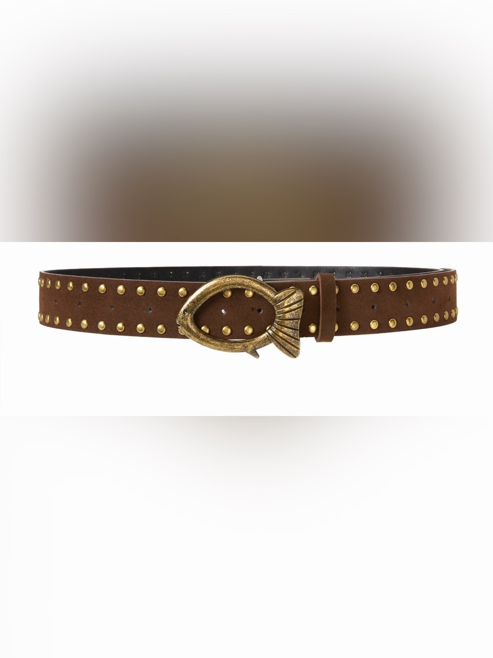 NWT - Cider Studded Fish Belt in Coffee